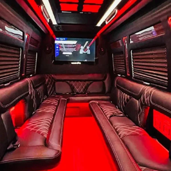 Chicago Sprinter party bus