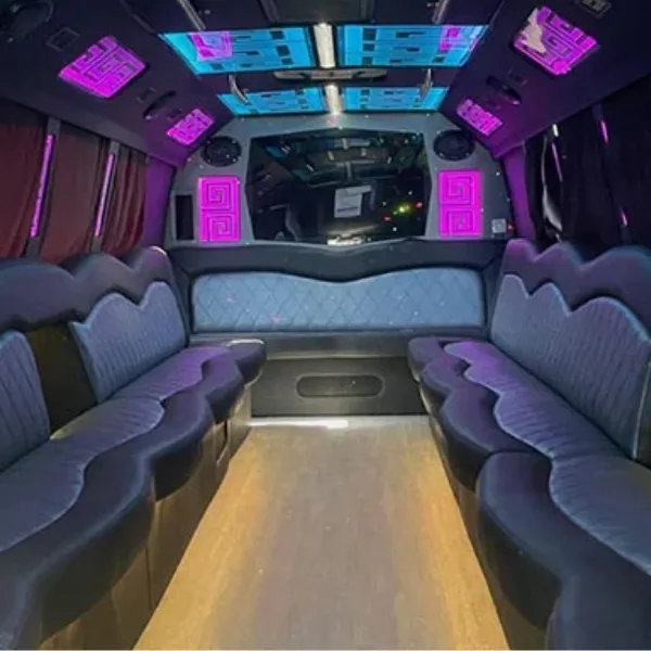 Chicago party bus rental Chicago party bus rental