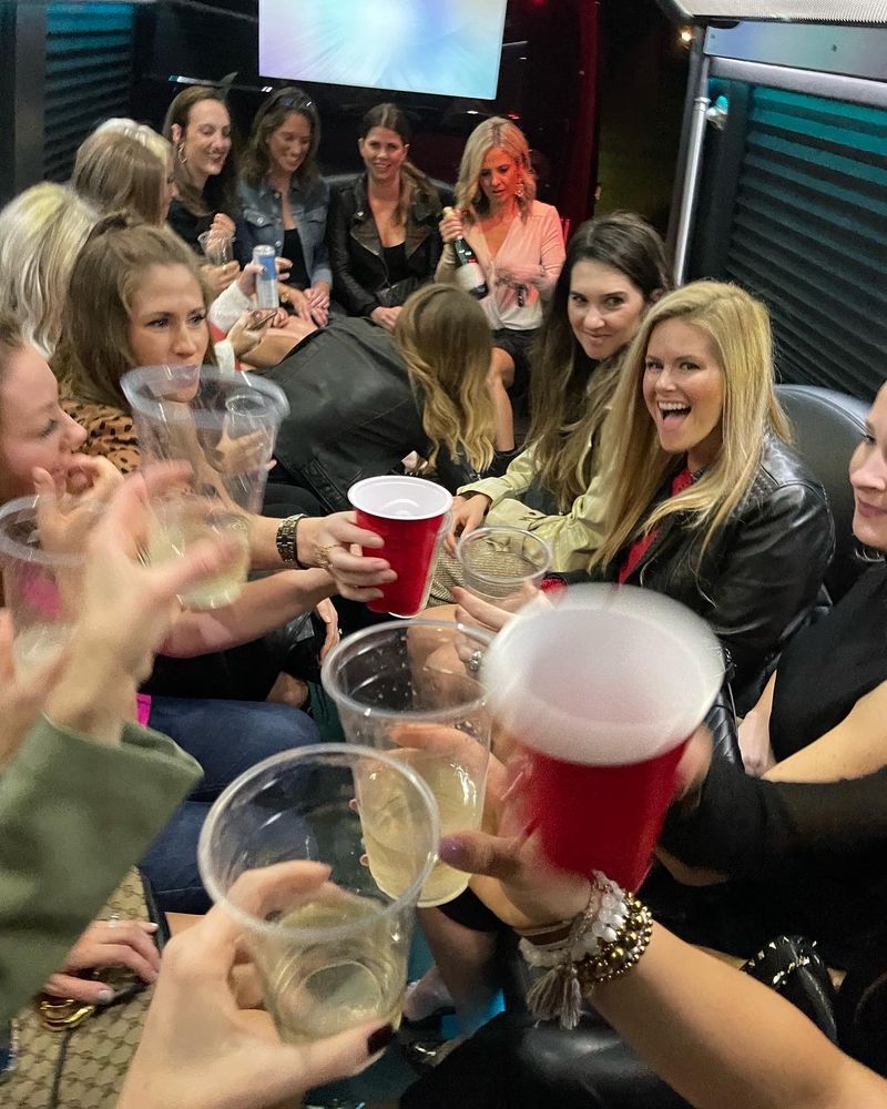 chicago party bus rental chicago party bus rental